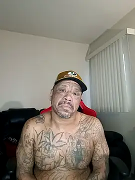 yellowwetfox online show from 02.03.26