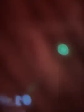  Danna online show from 02.14.26