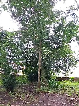 Yuky ta online show from 02.23.25