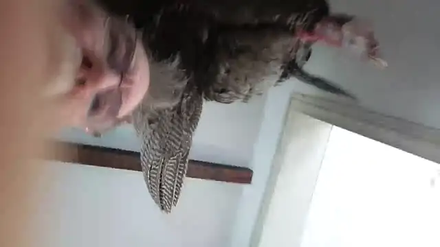 Snapshot of CDforU chatting on 02.04.26 CDforU online show from 02.04.26