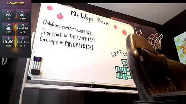 Snapshot of mrwop1 chatting on 12.22.24 mrwop1 online show from 12.22.24