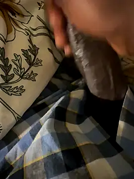 little0245 online show from 11.17.25