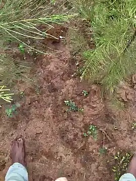 Snapshot of Gopal1243 chatting on 12.09.24 Gopal1243 online show from 12.09.24