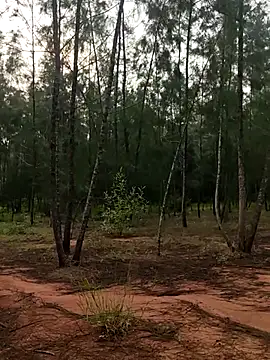 Snapshot of Gopal1243 chatting on 10.09.25 Gopal1243 online show from 10.09.25