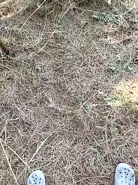 Snapshot of Gopal1243 chatting on 01.09.26 Gopal1243 online show from 01.09.26