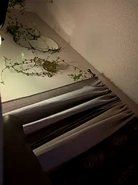 Snapshot of ClumsyLink chatting on 10.11.25 ClumsyLink online show from 10.11.25