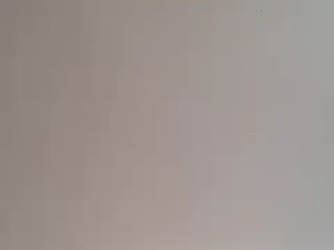 highstepper500 online show from 12.25.24