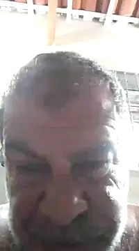 Snapshot of Peludo173317 chatting on 12.05.24 Peludo173317 online show from 12.05.24