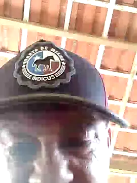 Snapshot of Peludo173317 chatting on 02.14.25 Peludo173317 online show from 02.14.25