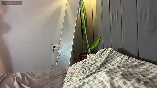 wiggle nibble online show from 01.17.26