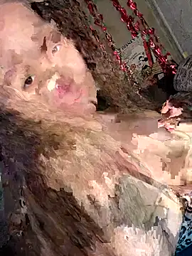 Var Kiss online show from 04.21.26