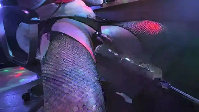 Snapshot of slankecrosdresser chatting on 11.02.25 slankecrosdresser online show from 11.02.25