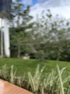 sahorix1 online show from 02.16.26