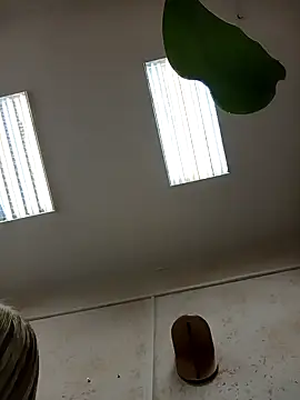 Office Albertina online show from 01.18.26