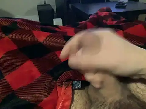 Snapshot of northcock87 chatting on 12.11.24 northcock87 online show from 12.11.24