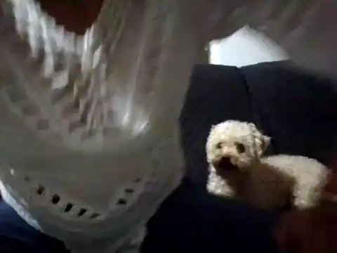 Snapshot of RAYA_1 chatting on 02.02.25 RAYA 1 online show from 02.02.25