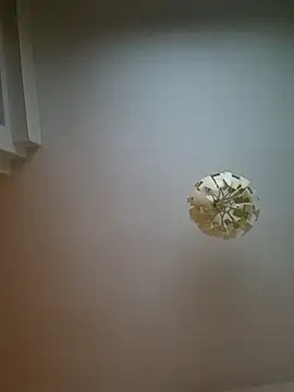 cuci45 online show from 03.11.26