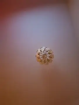 cuci45 online show from 03.31.26