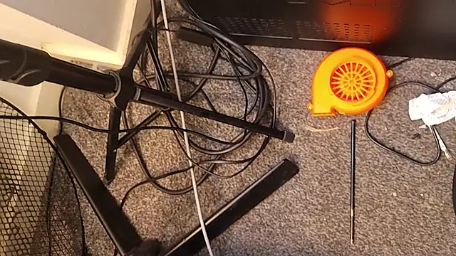 uk-bobbie-uk online show from 11.26.25