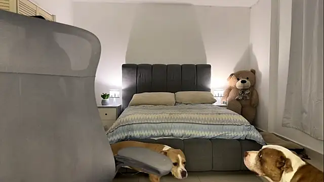 nurbanu hatem online show from 02.13.26