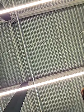 Snapshot of LeticiaWoods chatting on 10.19.25 LeticiaWoods online show from 10.19.25