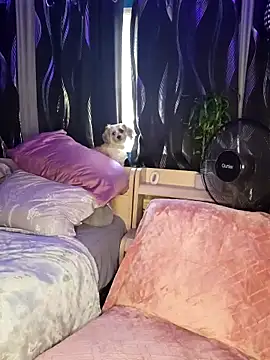 SexyNikki6969 online show from 03.31.26