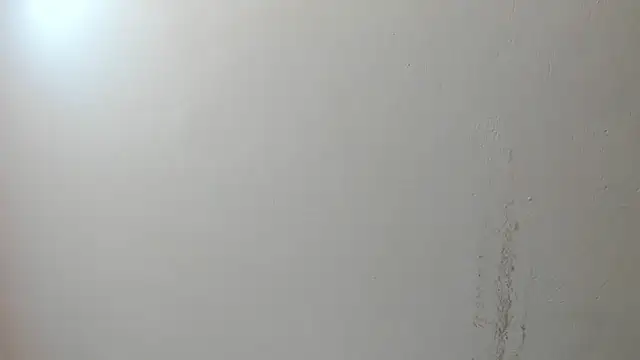 sarita loven online show from 07.17.26
