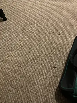 1Lustfully yours online show from 11.10.25