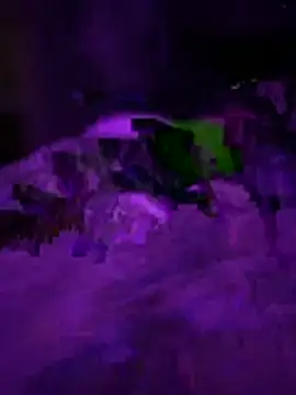 Themechanic420 online show from 02.01.26