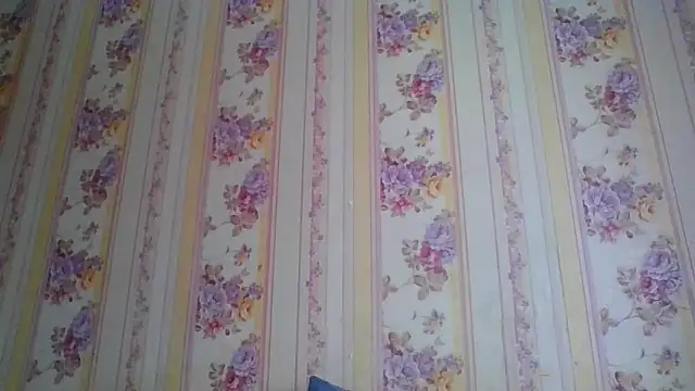 Snapshot of Skills_ chatting on 12.05.24 Skills online show from 12.05.24