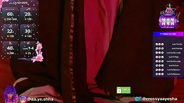 CrossyAayesha online show from 11.25.25