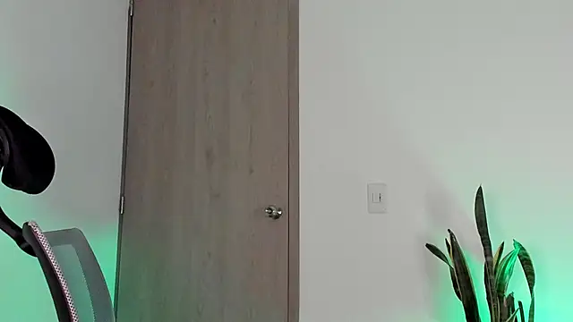 Snapshot of _jamesleandros1 chatting on 02.13.26 jamesleandros1 online show from 02.13.26