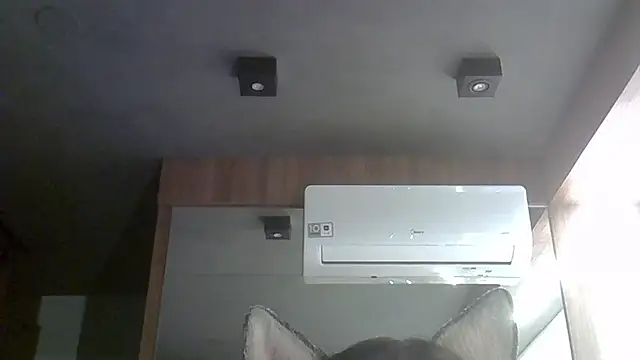 Skinny-Kitten online show from 10.04.25