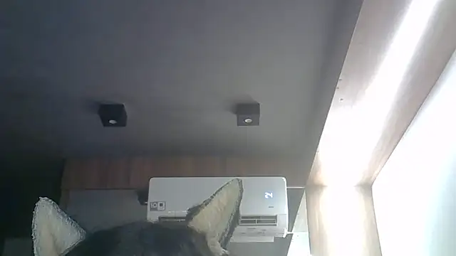 Skinny-Kitten online show from 04.01.26