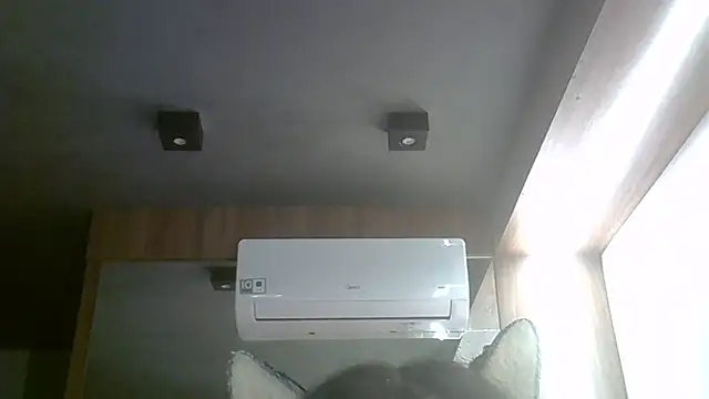 Skinny-Kitten online show from 04.03.26