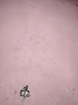 Snapshot of Sliced_Digit chatting on 03.09.25 Sliced Digit online show from 03.09.25