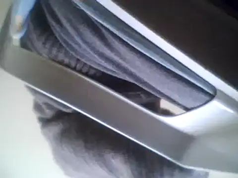 Snapshot of bestofyalcinturkey chatting on 03.03.25 bestofyalcinturkey online show from 03.03.25