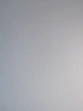 Delicy1 online show from 02.12.25