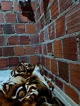 Snapshot of w31 chatting on 04.16.26 w31 online show from 04.16.26