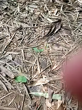 Blanco2023 online show from 02.20.25