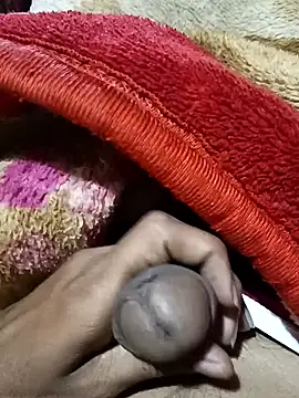 Play boy11 online show from 11.16.25