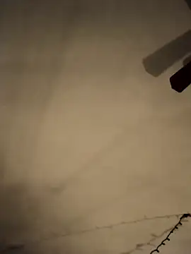 Snapshot of Midwestalpha chatting on 02.21.25 Midwestalpha online show from 02.21.25