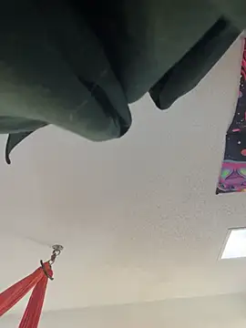 Snapshot of Terrafirma chatting on 01.27.25 Terrafirma online show from 01.27.25