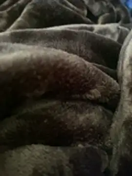 ft2022W online show from 03.07.26