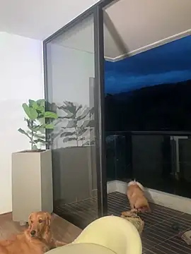 Snapshot of Helenbronwx chatting on 12.22.24 Helenbronwx online show from 12.22.24