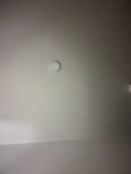 Snapshot of MichelleFerry_ chatting on 12.16.24 MichelleFerry online show from 12.16.24