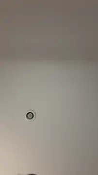 Snapshot of MichelleFerry_ chatting on 12.21.25 MichelleFerry online show from 12.21.25