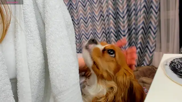 Peggy Beauty online show from 01.15.25