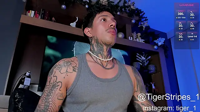 Snapshot of TigerStripes1_ chatting on 01.04.25 TigerStripes1 online show from 01.04.25