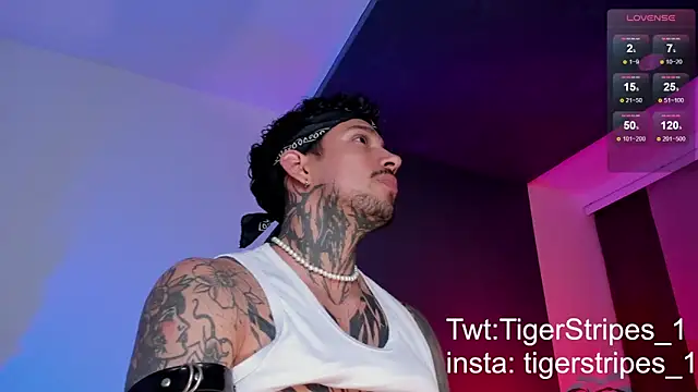Snapshot of TigerStripes1_ chatting on 03.11.25 TigerStripes1 online show from 03.11.25